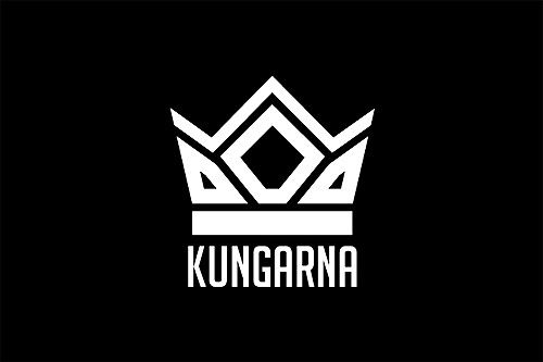 王者再起！《鬥陣特攻》Kungarna改組再出發