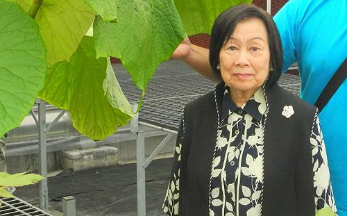 主委不會鬧雙胞！辜嚴倬雲委律師當庭撤告