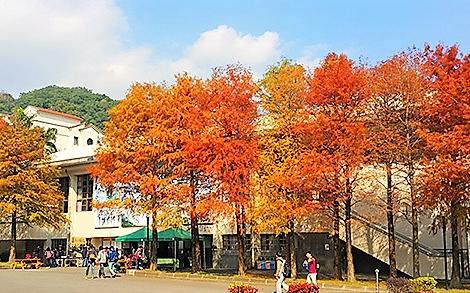 蘭陽技術學院財務健全  不受學生人數減少影響