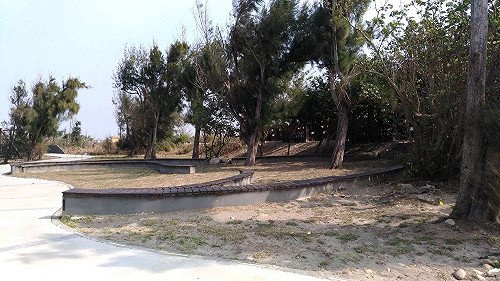 高美遊客中心剛開放就樹枯欄杆鏽  建設局：將速補植