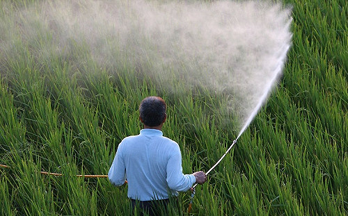 醫師指吃過多農藥會致癌 食安辦：說法太超過