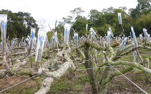 入冬最強寒流將來襲！農漁牧也要好好保暖