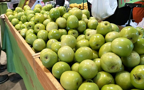 頂著雨也要買！蓮霧、蜜棗產地直送  屏東週限時登場