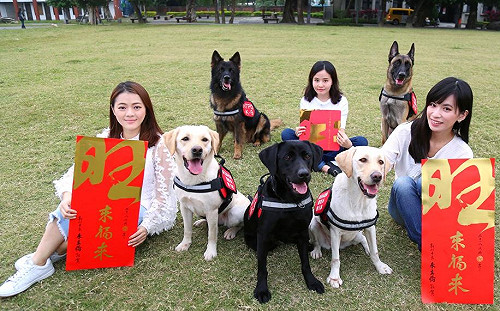 新北「旺來福來」春聯  15日起免費索取