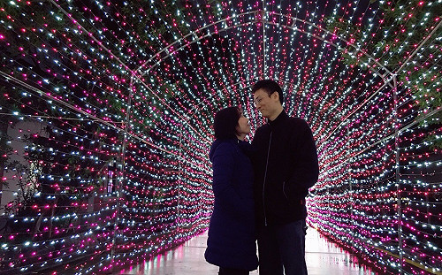 美到冒泡！淡水粉紅夢幻海隧道 拍照充滿戀愛FU