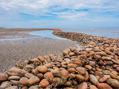 新屋石滬！潮汐中那道會説故事的鵝卵石牆