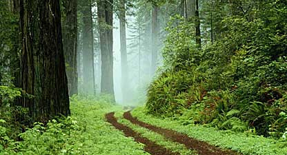 說過了還有人在問 林務局重申「森林區」保護未降級