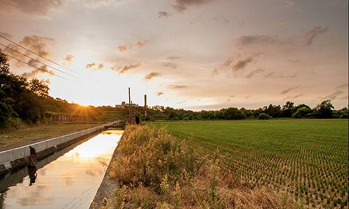 蘇煥智觀點》駁農委會廢水利會的謬論
