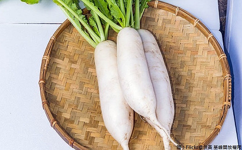 新竹不只米粉貢丸！小巧蘿蔔正當季