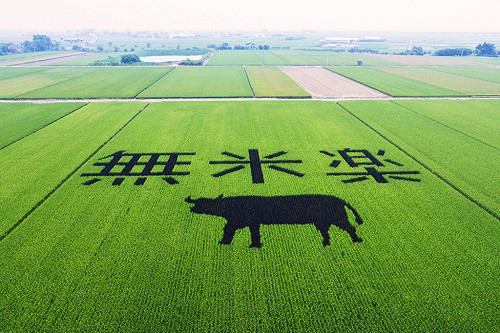 蘇煥智觀點》行政區扭曲自然村 無米樂菁寮被大切三塊