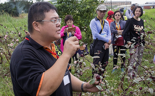 自然農法友善環境  桃園市頒環境獎肯定農友