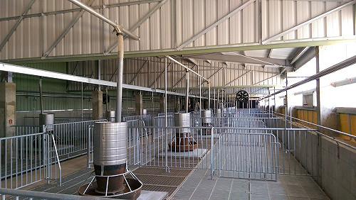 翻轉養豬場髒臭刻板印象！台中推沼氣發電