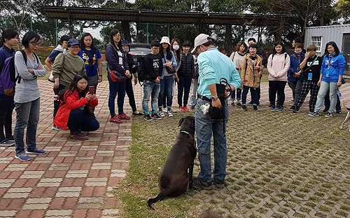 動物也可以是導遊！中市推動保小旅行