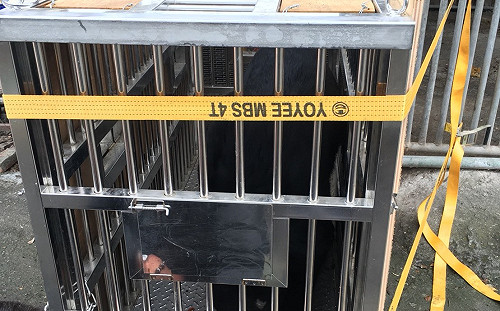 終結台灣黑熊私養！壽山動物園收容最後一隻