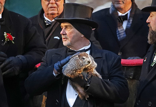 春神來了牠知道?! 土撥鼠預測:春天再等6周