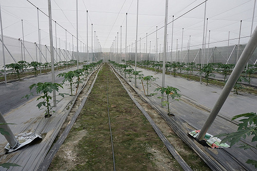 南部用水吃緊  灌溉供水延後民生用水暫不影響