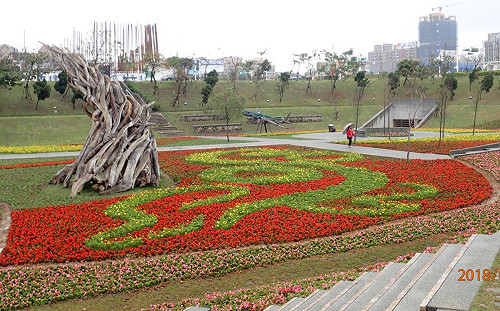 FUN春節》看花海好運來！桃園狗年主題花海盛開