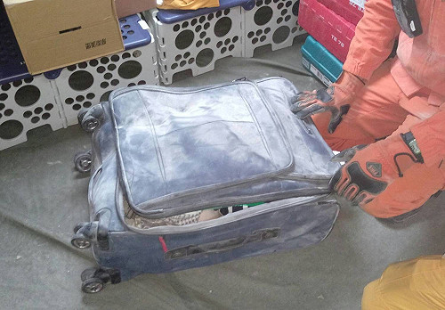 雲翠大樓213房 發現1隻腳