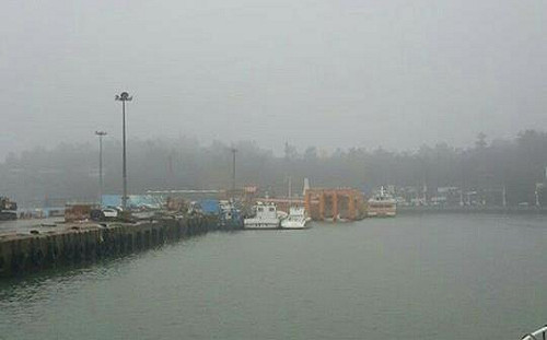 起大霧下大雨  廈門小三通客船全面停駛