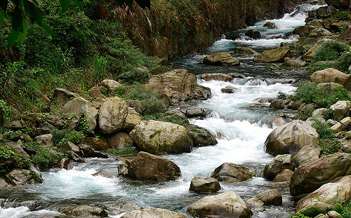 利奇馬強勢來襲！13處國家森林遊樂區9日休園