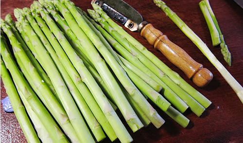 乳癌細胞擴散 可能由天門冬醯胺導致