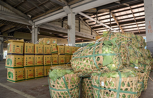桃農產批發市場新設儲藏設備　有助調節產能穩定菜價