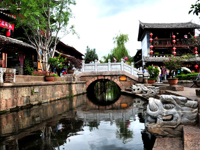 春節期間持續防治禽流感 前往大陸遵守5要6不