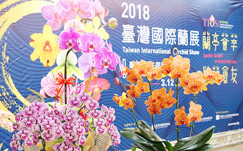 國際蘭展3/3登場！還原西元353年蘭亭序場景