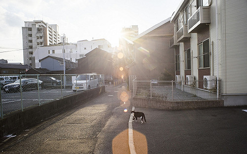 出遊把握今天！白天冷氣團減弱 各地天氣穩定