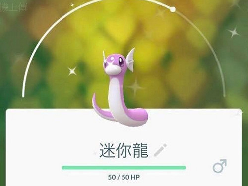 《精靈寶可夢GO》社區日當機   玩家財寵兩失直呼爛爆了