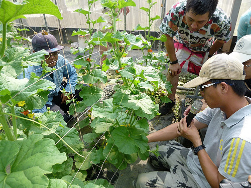 陪養青農不只撒錢 師徒制技能見習一年