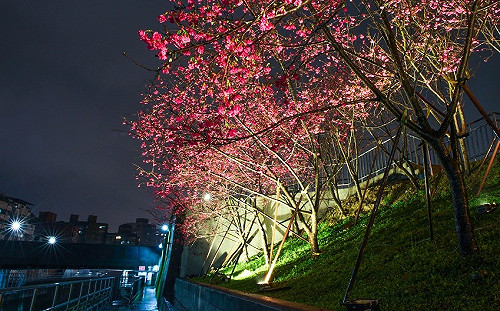 節能又減碳！新北22萬路燈改為省電LED