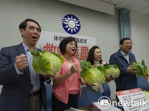 北農連休菜價崩盤　國民黨團要求農委會、柯P交代清楚！