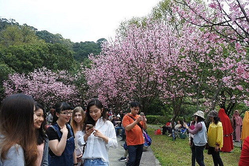 陽明山園地由你彩繪！親子一同賞花作畫最有趣(影)