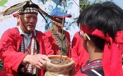 植樹節造林!鄒族部落再現五木原生綠