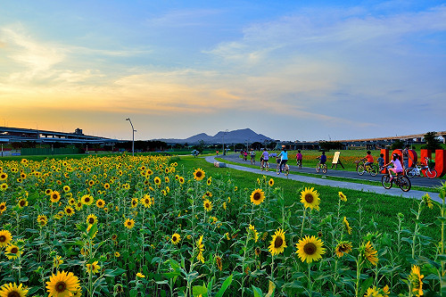 不用出國！新北市春天小旅行正是時候