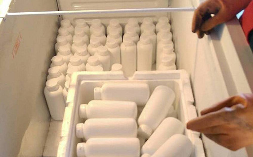 查獲非法禽流感血清 防檢局籲禽農勿施打