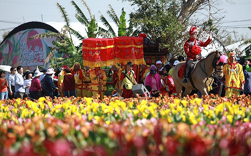 花田踩街古禮迎娶！彩色海芋季週末high翻桃園