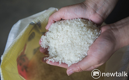 保障生活！農委會持續收購公糧 確保稻農收益