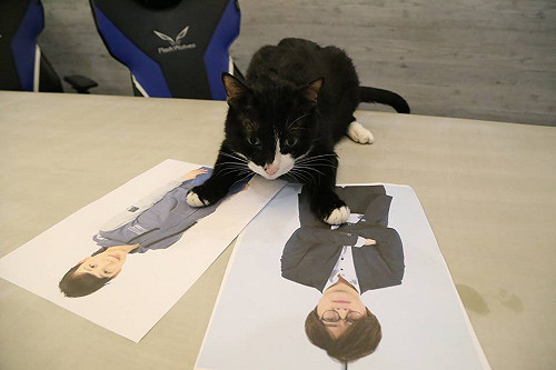 《英雄聯盟》這批很純？ 各戰隊愚人節玩笑都出籠