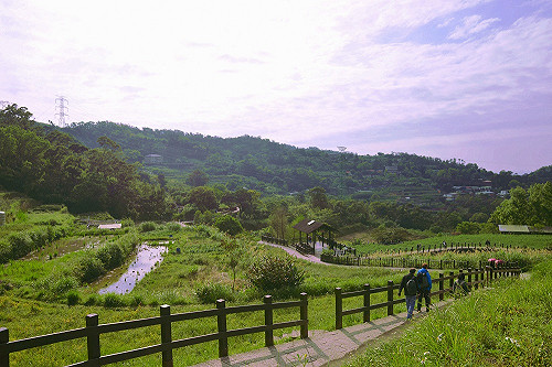 國小以下免費搭！連假搭貓纜暢遊農村之美