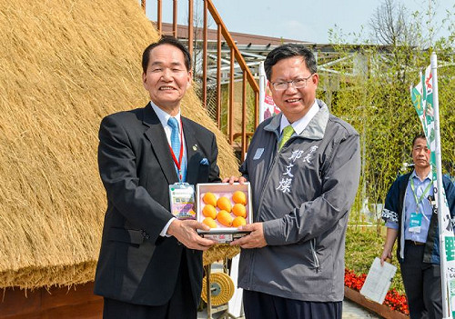 日本香川來訪農博會 枇杷盆栽無奇不有