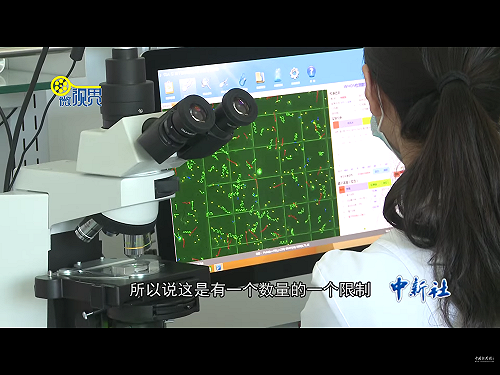 精子也要姓黨！中國捐精廣告呼應習近平紅色基因惹議