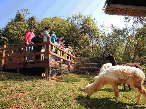 高雄花1元搞定動物園土地   內政部同意開發