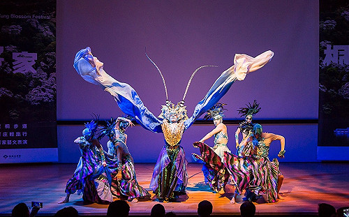 桐花祭雪白紛飛！地景音樂會展現客家文化經典