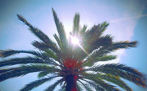 紫外線飆！今西半部高溫上看34度 20分鐘就曬傷