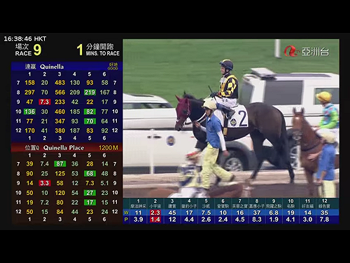 比照香港!?中共中央鼓勵  海南將發展賽馬與博彩