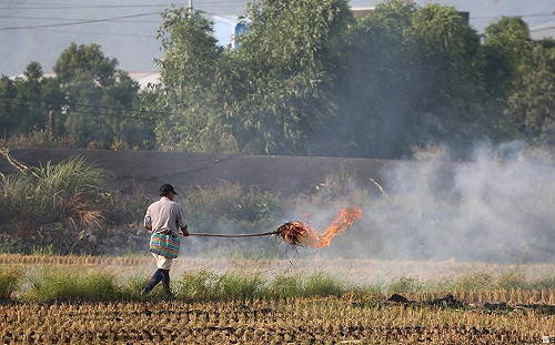 燃燒稻草毀空品！南投推「碎稻草養土」護環境
