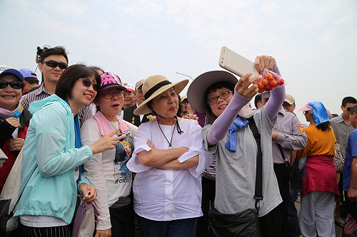 鎮瀾宮媽祖遶境抵「嘉」！張花冠喜迎大甲媽