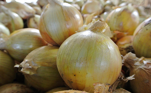 洋蔥正當季！營養價值高現在趕快吃
